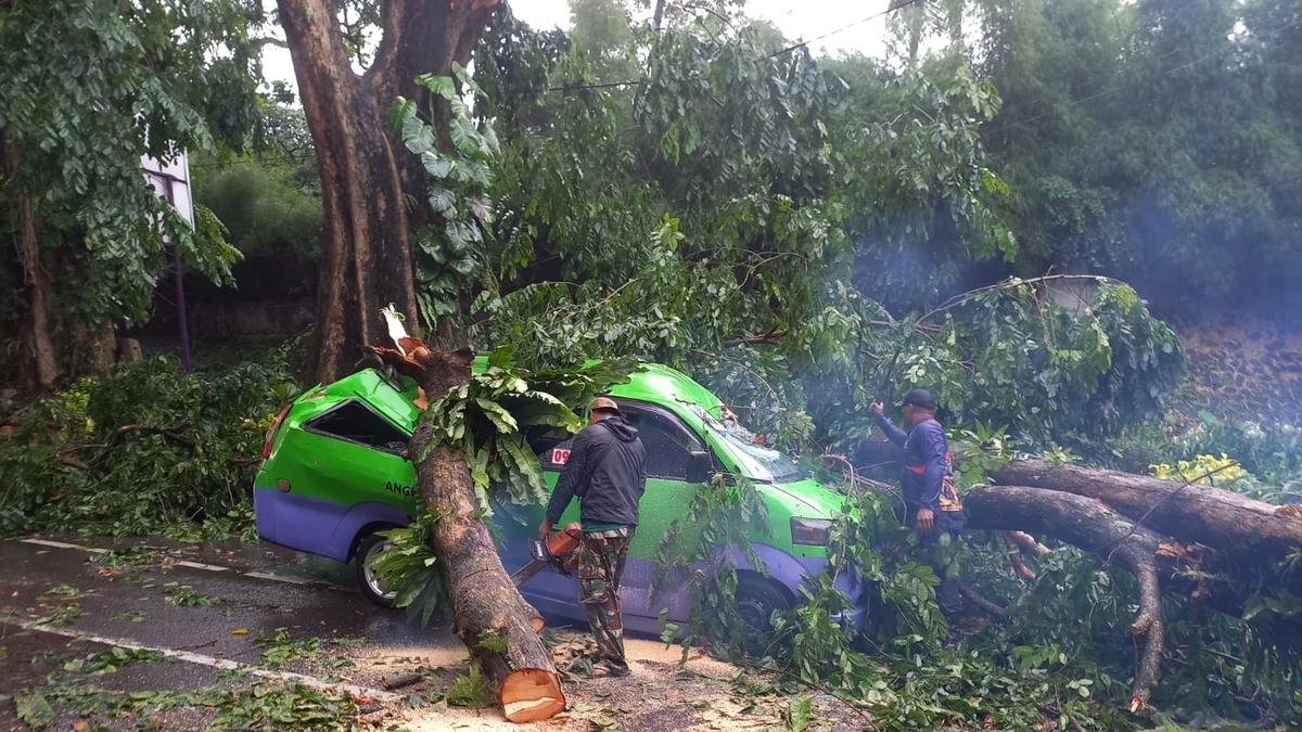 Insiden Pohon Tumbang di Bogor, Angkot Alami Kerusakan Parah Tanpa Menelan Korban