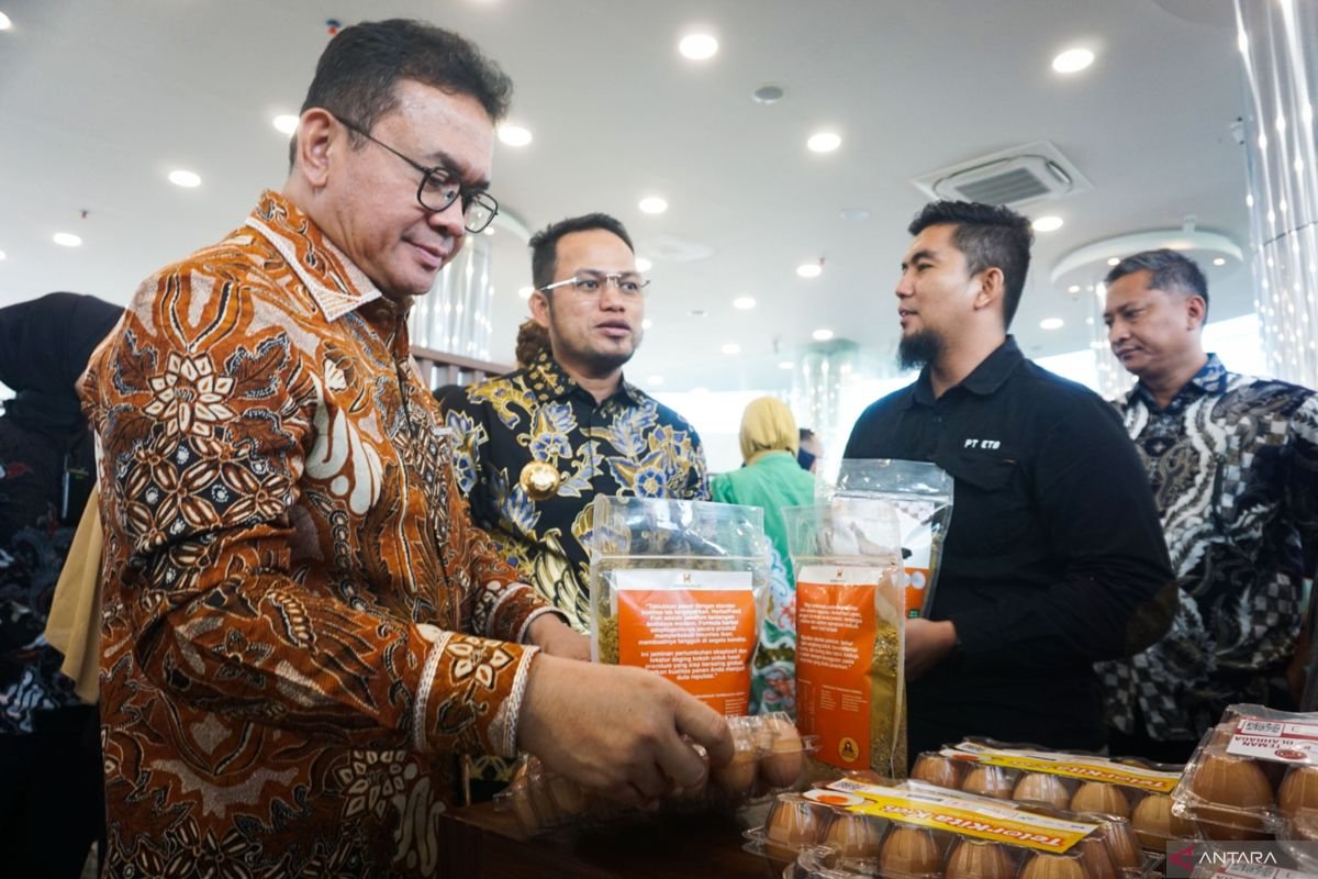 Mendag Budi Santoso Tekankan Fair Trade dan Digitalisasi Layanan Ekspor untuk UMKM Mendag Budi Santoso Tekankan Fair Trade dan Digitalisasi Layanan Ekspor untuk UMKM