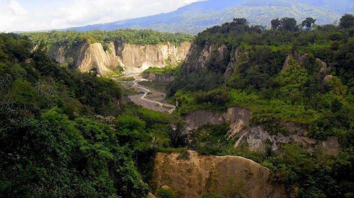 Puluhan Warga BKCR Bukittinggi Diungsikan Akibat Laporan Tanah Bergerak di Ngarai Sianok
