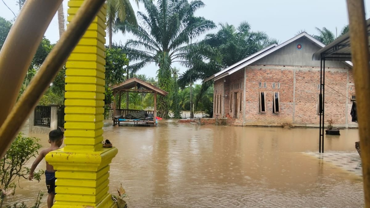 Bencana Banjir Aceh Timur Rendam Ribuan Rumah dan Paksa Warga Mengungsi