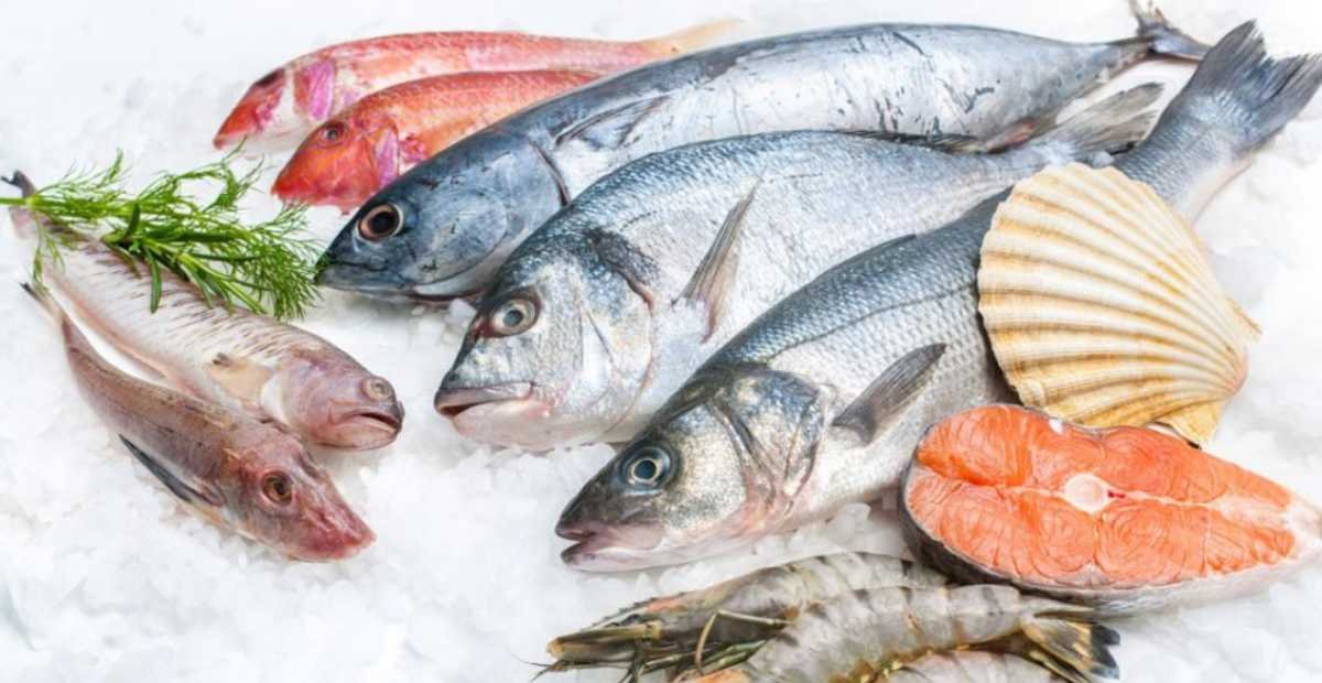 Program MBG Dorong Peningkatan Konsumsi Ikan Nasional Hingga 415 Ribu Ton
