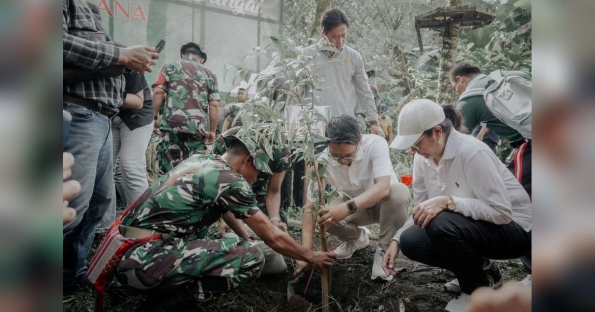 BKSDA Bali Lakukan Reboisasi di Gunung Batur, 3.000 Bibit Pohon Ditanam
