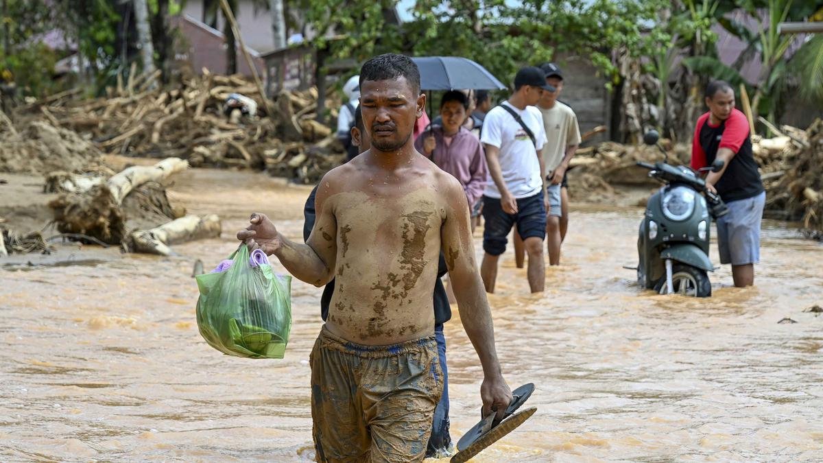 Ide Patungan Beli Hutan Viral di Media Sosial, Respons Legislator PKB dan Situasi Pascabanjir Sumatra