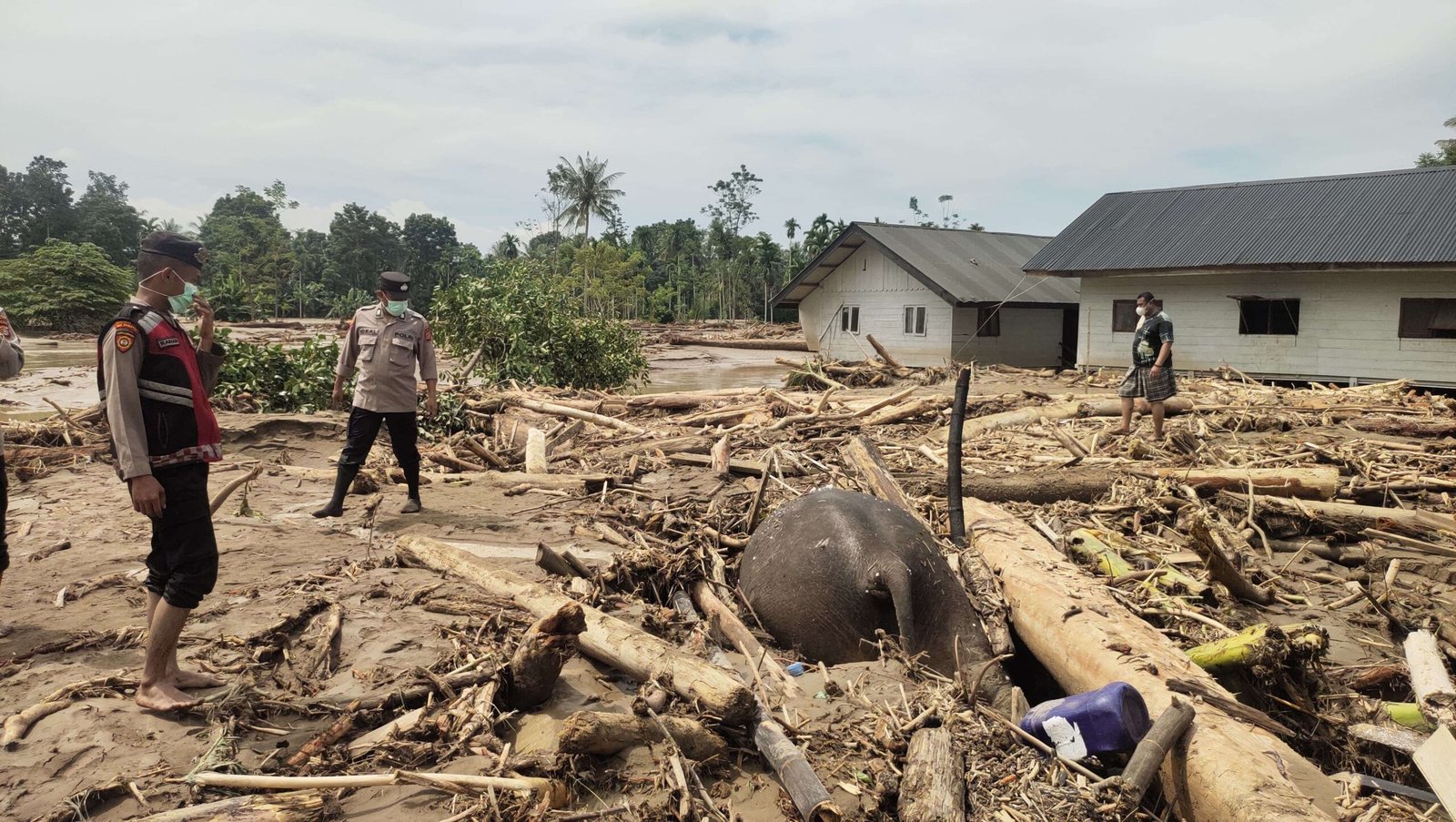 Korban Banjir Aceh Meningkat Jadi 349 Jiwa: 775 Ribu Mengungsi dan Ribuan Fasilitas Rusak