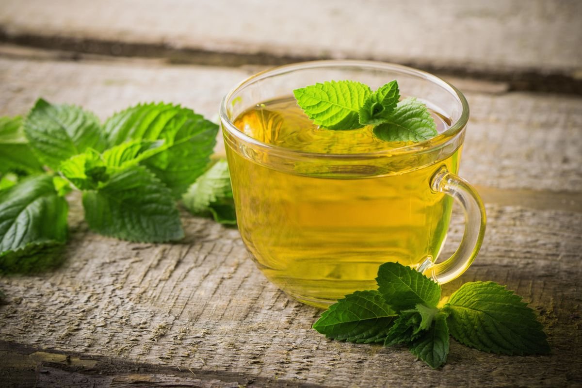 Studi Ilmiah Ungkap Manfaat Neumenti Spearmint untuk Fokus, Memori, dan Kesehatan Otak