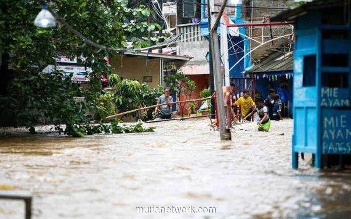 Banjir Jakarta: 17 RT Terdampak Akibat Luapan Kali Ciliwung Banjir Jakarta: 17 RT Terdampak Akibat Luapan Kali Ciliwung