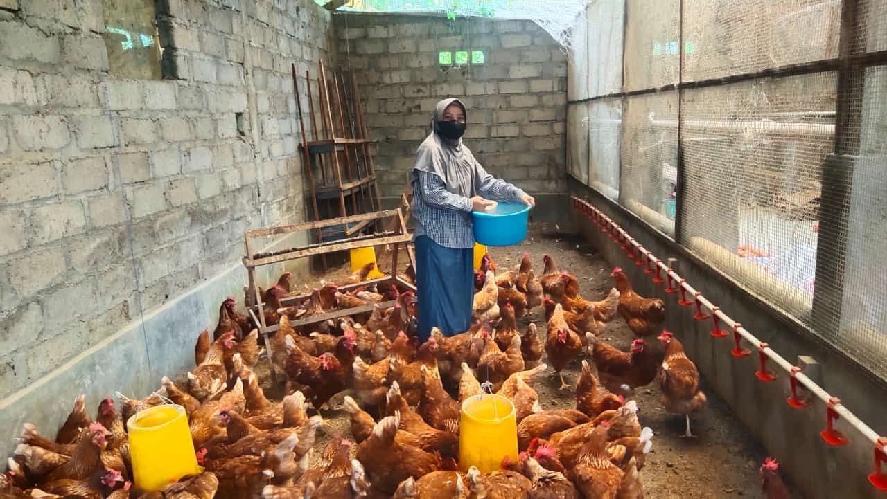 Pemkot Bogor Kembangkan Peternakan Ayam Petelur Berbasis LPM untuk MBG