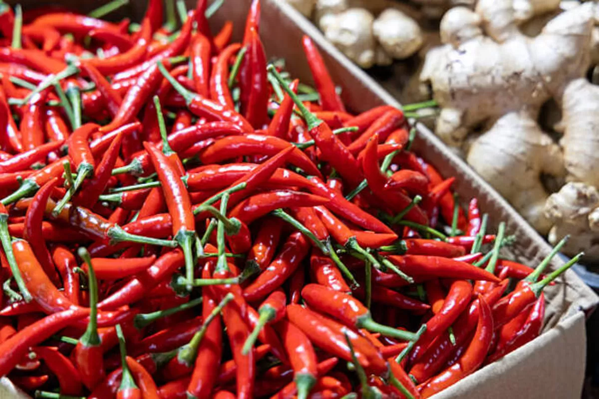 PIHPS Catat Harga Cabai Rawit Merah Rp68.850/kg dan Telur Ayam Rp31.350/kg PIHPS Catat Harga Cabai Rawit Merah Rp68.850/kg dan Telur Ayam Rp31.350/kg