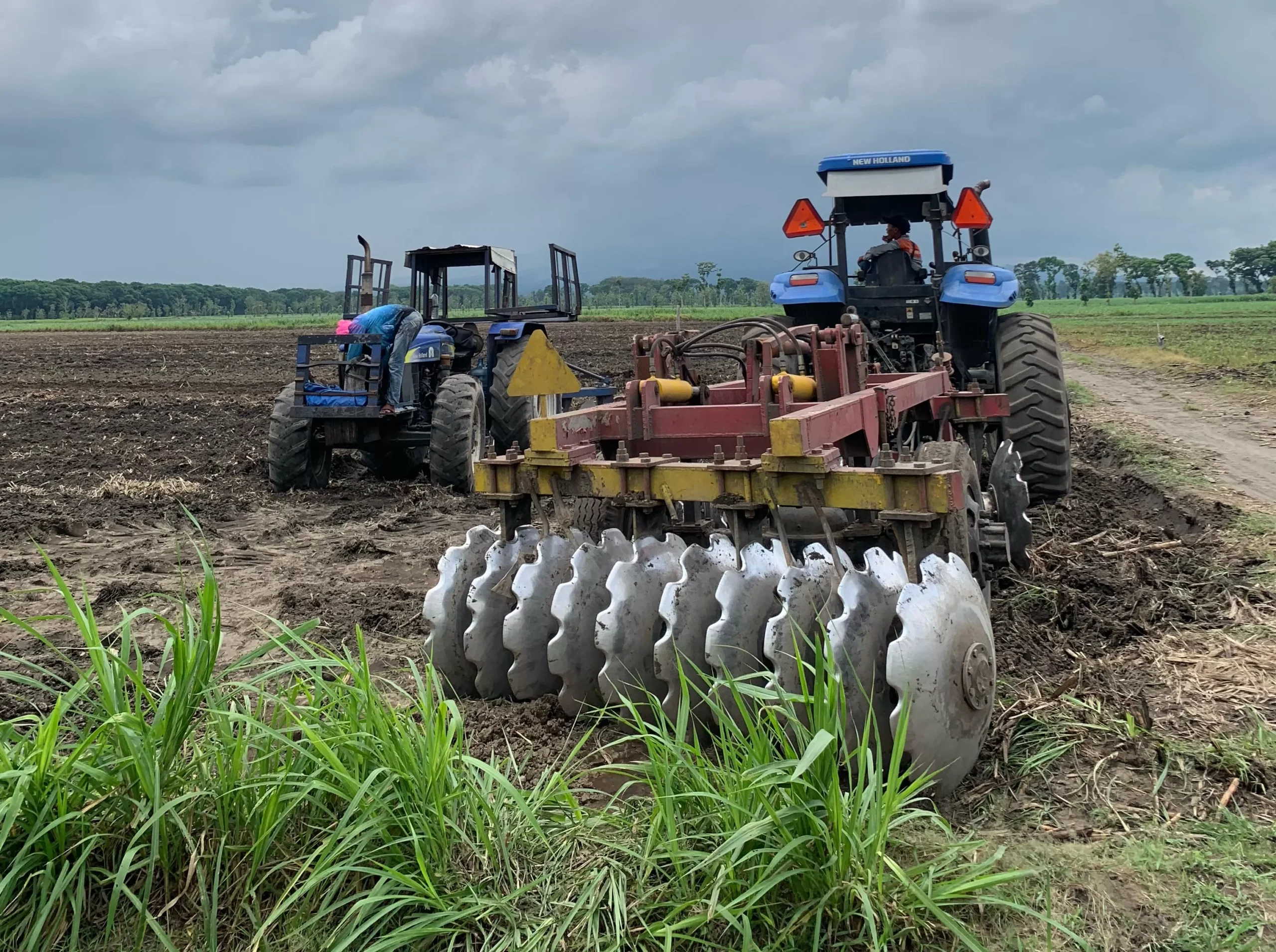 PT SGN MKSO Kebun Dhoho Siapkan 5.805 Hektare Lahan Tebu untuk Swasembada Gula 2026