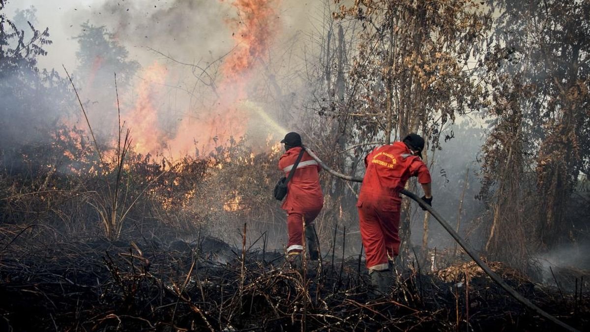 Kebakaran Lahan Aceh Barat, Aceh Besar, dan Nunukan Masih Ditangani Petugas