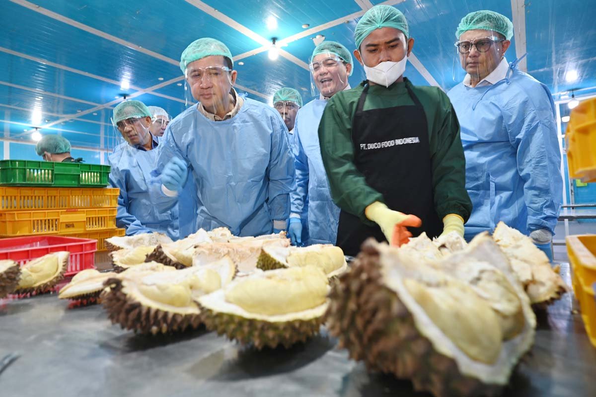 Ekspor Durian Beku RI ke China Capai 4.077 Ton, Nilai Tembus Rp377,5 Miliar