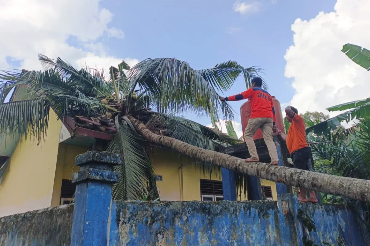 Puting Beliung di OKU Selatan Terjang Sekolah dan Pasar, Lalu Lintas Kembali Normal