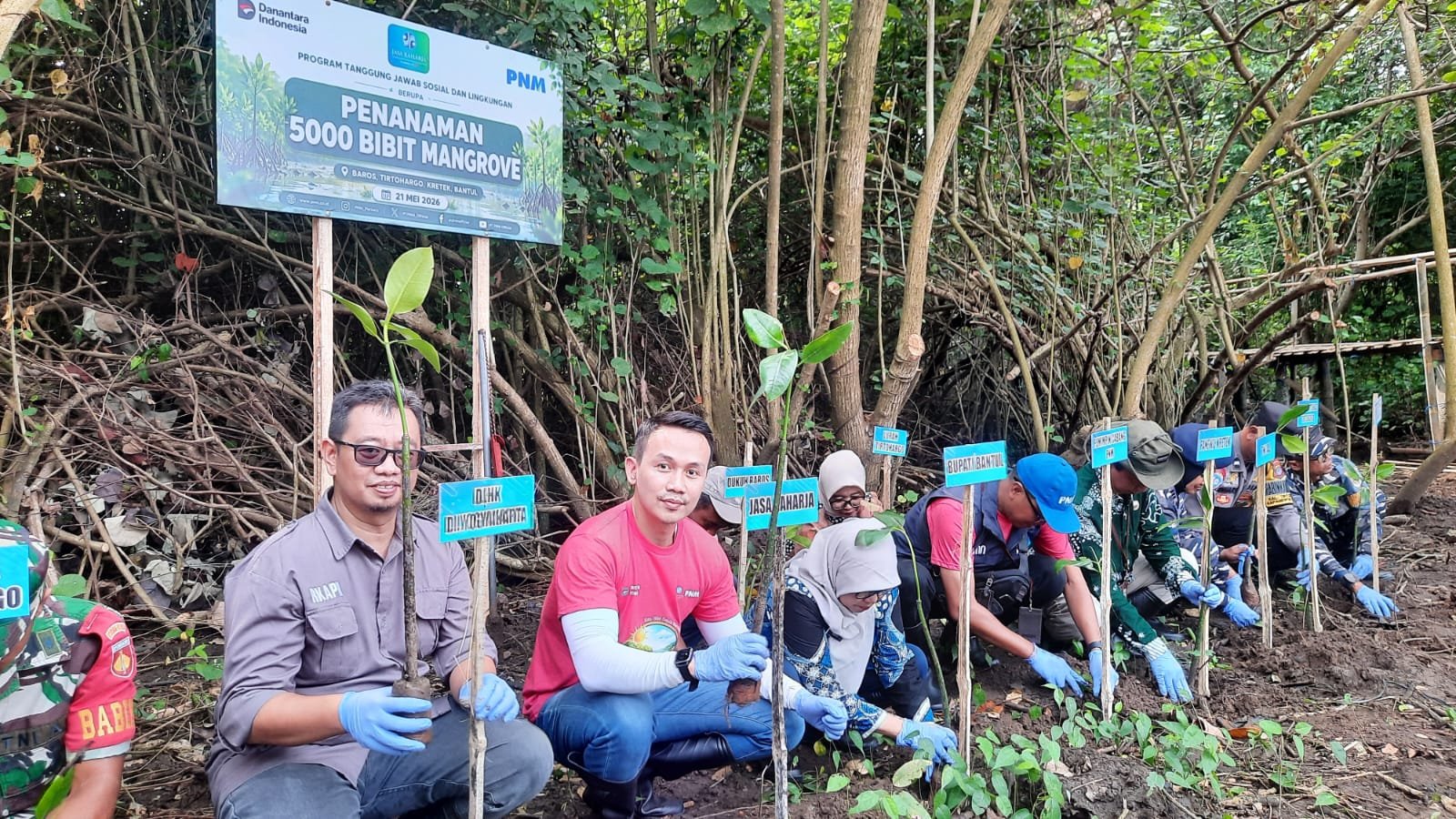 Jasa Raharja DIY dan PNM Tanam 5.000 Mangrove, Wujud Nyata Green Impact untuk Pesisir Bantul Jasa Raharja DIY dan PNM Tanam 5.000 Mangrove, Wujud Nyata Green Impact untuk Pesisir Bantul