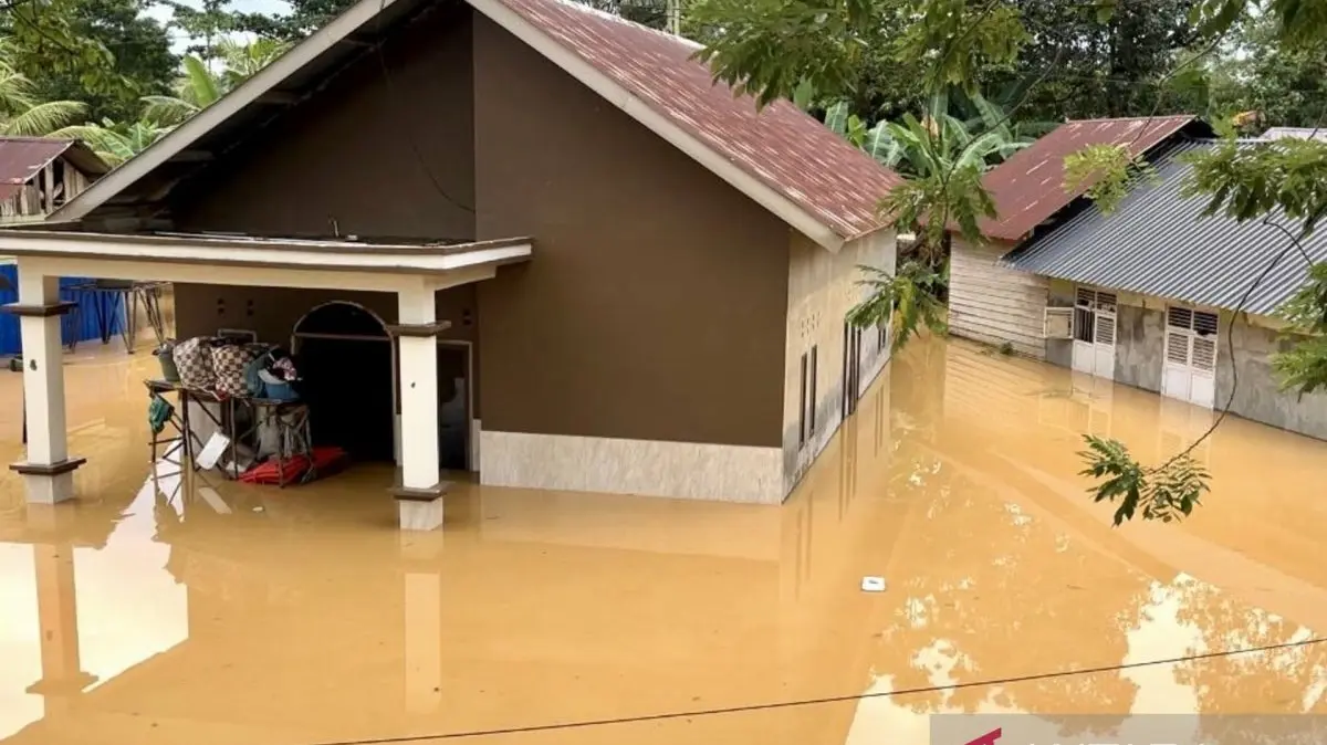 BPBD Catat 11 Titik Banjir di Kendari, Permukiman hingga Sawah Terdampak BPBD Catat 11 Titik Banjir di Kendari, Permukiman hingga Sawah Terdampak