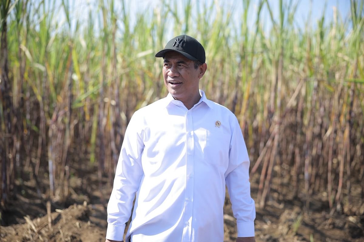 Kementan Percepat Swasembada Gula Lewat Penguatan Produksi Tebu dan Hilirisasi