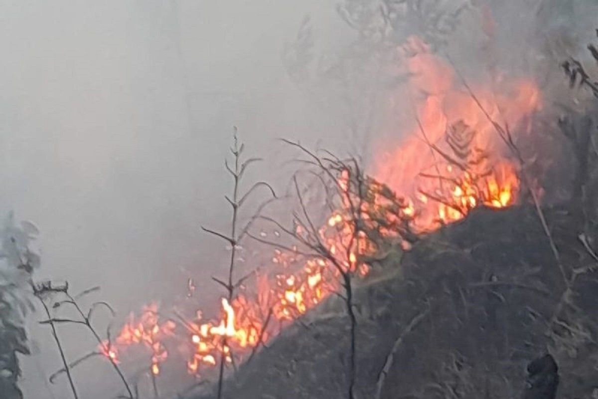 TNBTS Tutup Akses Bromo dari Malang dan Lumajang Akibat Kebakaran Hutan