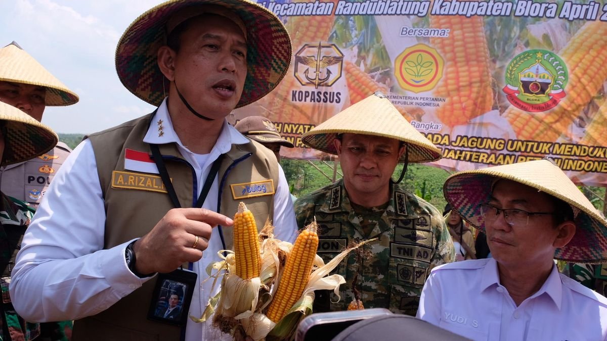 SPHP Jagung Ditambah 150 Ribu Ton, Bulog Pastikan Stok untuk Peternak SPHP Jagung Ditambah 150 Ribu Ton, Bulog Pastikan Stok untuk Peternak