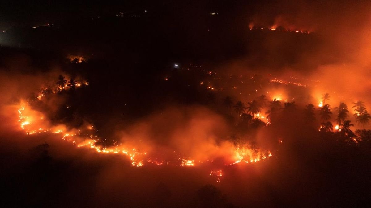 Gunung Ijen Terbakar, Api Meluas di Kawasan Cagar Alam Merapi Ungup-Ungup Gunung Ijen Terbakar, Api Meluas di Kawasan Cagar Alam Merapi Ungup-Ungup