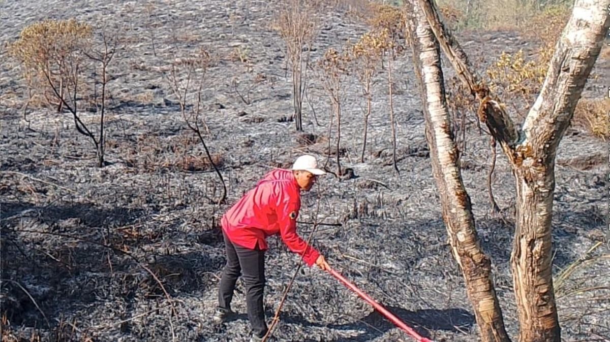 Luas Kebakaran Lahan di Gunung Rinjani Tembus 589,23 Hektare Luas Kebakaran Lahan di Gunung Rinjani Tembus 589,23 Hektare