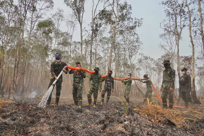 Karhutla Way Kambas Sempat Muncul Kembali, Petugas Sisir Titik Panas untuk Cegah Kebakaran
