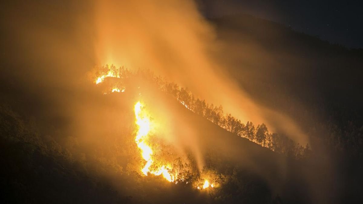 Kebakaran Gunung Lawu Bakar Ratusan Hektare, Petugas Perketat Pengawasan di Cemoro Sewu Kebakaran Gunung Lawu Bakar Ratusan Hektare, Petugas Perketat Pengawasan di Cemoro Sewu