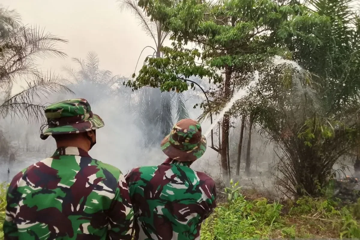 TNI AU Kerahkan 15 Personel untuk Padamkan Karhutla di Kalimantan Selatan